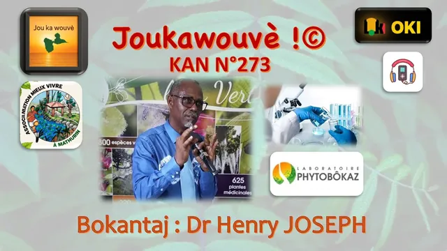Vignette de la vidéo KAN N°273.0 Conference Dr Henry JOSEPH
