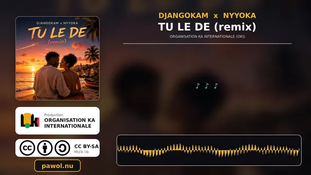 Vignette de la vidéo DJANGOKAM x NYYOKA - TU LE DE (remix) (Karaoke / Lyrics in KA + English translation)